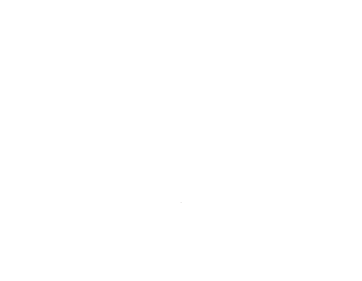 Jinmeiyuan Jewelry Co. Ltd.